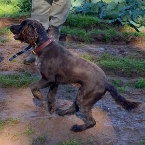 Meet your Posher, Hunter